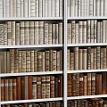 Wooden Bookshelf With Multiple Shelves And Neatly Arranged Various Colored Books