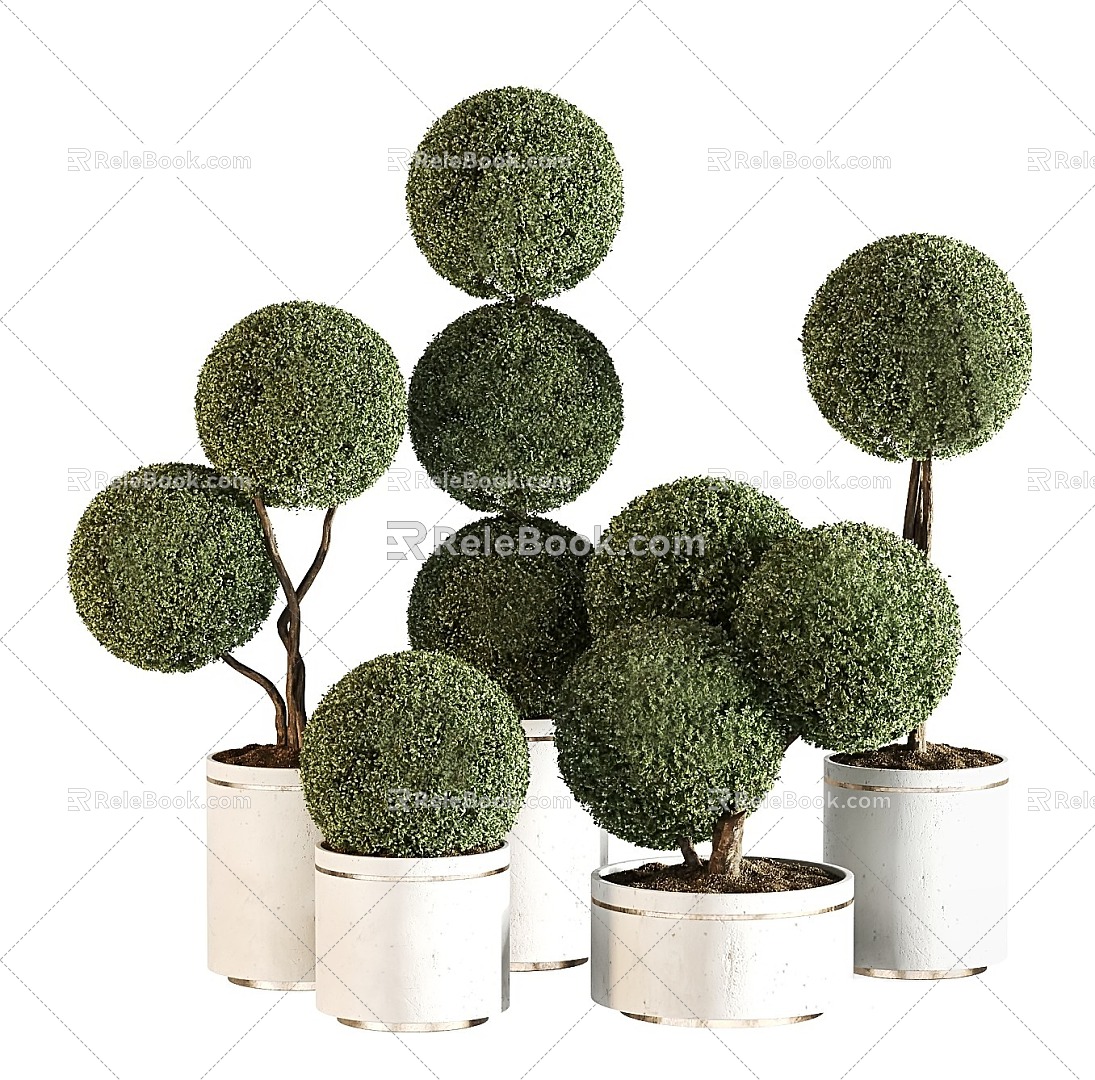 potted spherical potted green plant plant landscape green plant 3d model