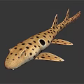 Spotted Shark Aquatic Animal With Tan Body Black Spots And Smooth Skin