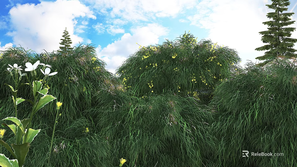Lush Green Shrubs With Yellow Flowers Growing In Natural Garden Under Blue Sky 3d model 