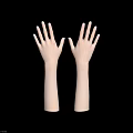 Human Hands And Arms With Natural Skin Tone On Gray Background