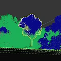 Lush Green Shrubs With Vibrant Foliage In Sunlit Natural Setting Surrounded By Trees