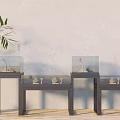 Modern Display Cabinets With Decorative Exhibits And Bamboo Plant Against White Wall On Wooden Floor