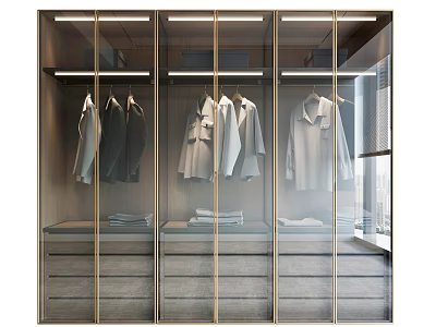 Modern Wardrobe Interior Design With Glass Doors Golden Frames Hanging And Folded Clothes 3d model