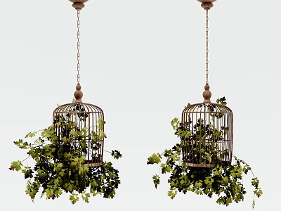 Hanging Birdcage Basket Plants with Lush Green Vines and Trailing Leaves 3d model