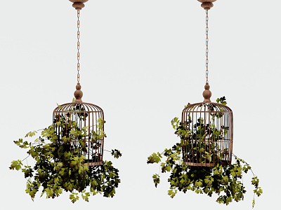 Modern hanging basket birdcage hanging plant model