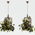 Hanging Birdcage Basket Plants with Lush Green Vines and Trailing Leaves
