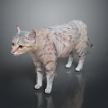 Realistic Striped Tabby Cat Standing Gracefully On Dark Background With Reflection