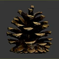 Natural Pine Cone Decorative Household Item For Home Living Room Decor