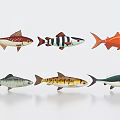 Six Vibrant Aquatic Fish with Diverse Patterns and Various Colors on White Background