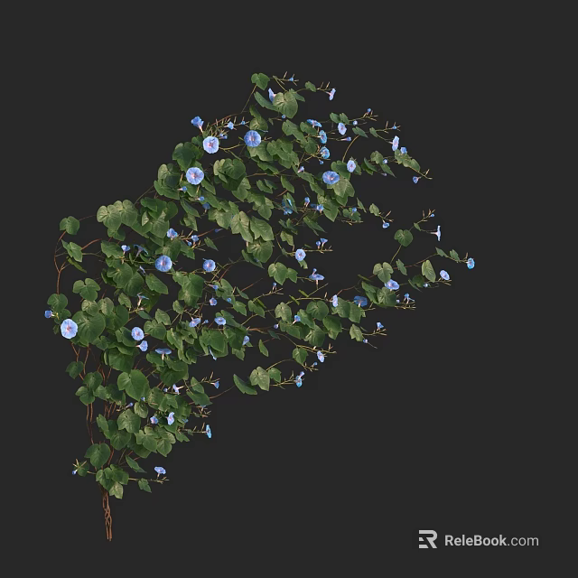Blue Morning Glories with Green Leaves on Twisting Vines in Spiral Shape against Black Background 3d model 
