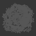 Tall Tree With Lush Green Leaves Against Dark Background And Human Silhouette For Scale Reference