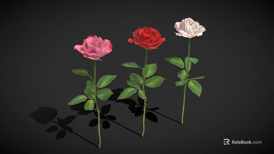 Beautiful Pink Red White Roses with Green Stems Leaves on Black Background and Shadows 3d model 