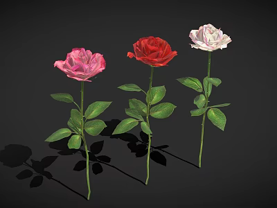 Beautiful Pink Red White Roses with Green Stems Leaves on Black Background and Shadows 3d model