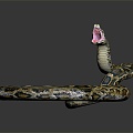 Modern snake python reptile cold-blooded animal 3d model