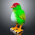 Colorful Bird with Red Head Green Body White Belly Orange Feet and White Claws