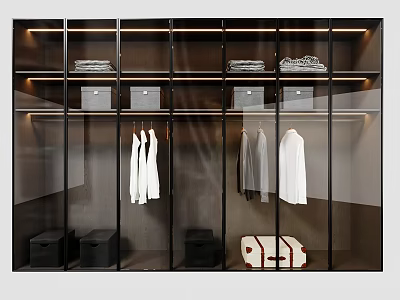 Modern Wardrobe with Glass Doors Hanging Clothes Storage Boxes and Suitcase 3d model