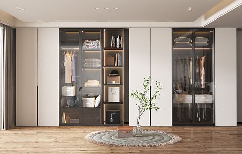 Modern wardrobe 3d model