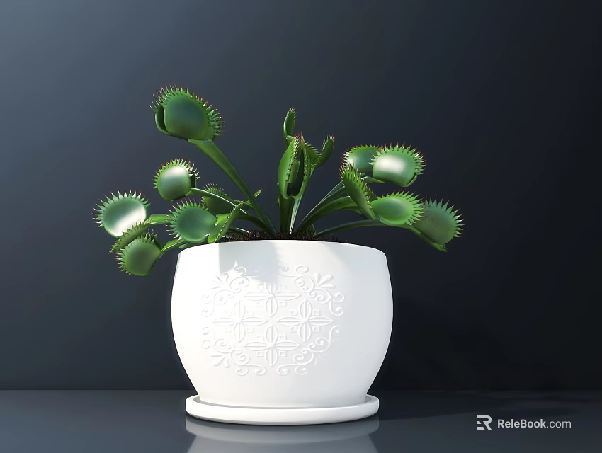 Bonsai Potted Venus Flytrap In White Carved Pattern Pot On Dark Table 3d model 