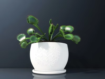 Bonsai Potted Venus Flytrap In White Carved Pattern Pot On Dark Table 3d model