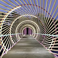 Illuminated Cylindrical Woven Landscape Bridge Over Pond With Reflection in Natural Surroundings