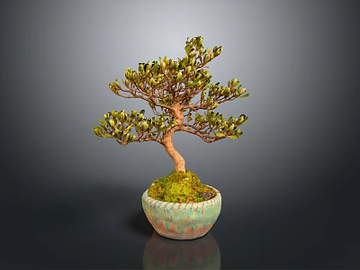 Artistic Bonsai Arbor With Curved Trunk Green Leaves And Mossy Pot 3d model