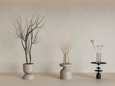 Potted Plants With Bare Branches Dried Grass And White Flowers On Light Tabletop 3d model