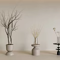 Potted Plants With Bare Branches Dried Grass And White Flowers On Light Tabletop