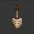 Detailed Horseshoe Crab Body Structure With Carapace Telson Legs And Antennae
