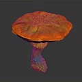 Vibrant Multicolored Plant Featuring Mushroom Shaped Cap and Colorful Stalk in Orange Yellow Green Tones