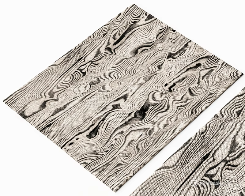 Stylish Square Rug Featuring Natural Wood Grain Pattern In Black White Design 3d model 
