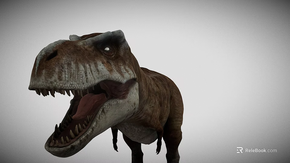 Realistic T Rex Dinosaur 3D Model With Open Mouth And Sharp Teeth 3d model
