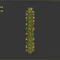 Tall Green Cactus Plant With Long Stem And Yellow Spines In Natural Setting