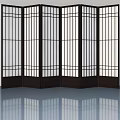 Swing Open Panels Folding Screen With Black Frame And Transparent Design 3d model