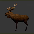 Realistic Brown Moose With Large Antlers 3D Rendered On Gray Background