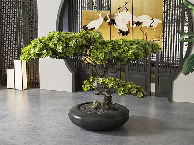 Bonsai Tree With Green Foliage Unique Trunk In Black Round Pot Chinese Style Indoor Decor 3d model
