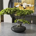 Bonsai Tree With Green Foliage Unique Trunk In Black Round Pot Chinese Style Indoor Decor