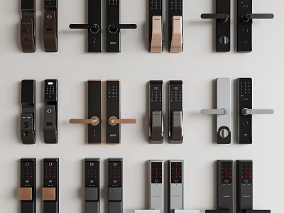 Smart Door Locks With Various Styles Designs Fingerprint Password Features 3d model