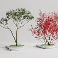 Modern Tree Landscape Tree 3d model