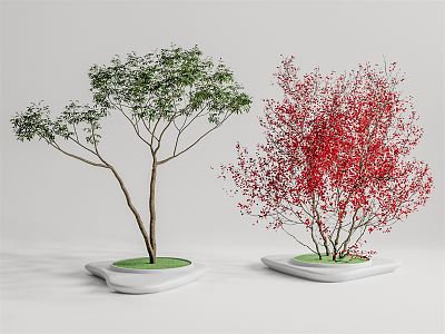 Modern Tree Landscape Tree 3d model