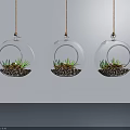 Three Transparent Glass Spherical Hanging Planters With Green Plants And Soil For Wall Decor