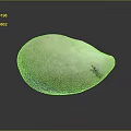Smooth White Clam Shell With Natural Dark Patterns On Reflective Surface 3d model