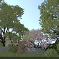 Lush Roadside Garden with Green Shrubs Pink Red Flowers and Blue Sky