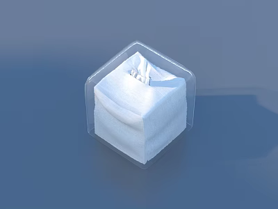 Transparent Plastic Container Holding Square White Sponge On Blue Background 3d model
