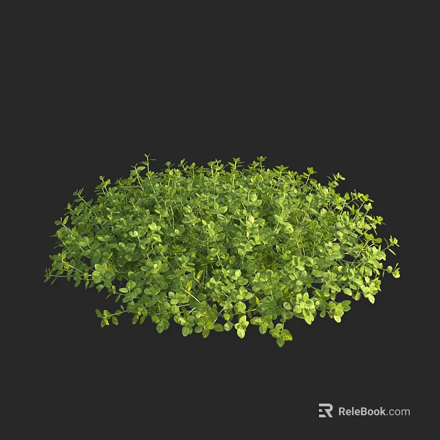 Lush Green Aquatic Plants With Fresh Leaves In Water Garden Setting 3d model 
