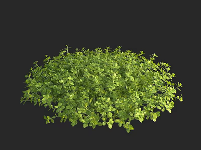 Lush Green Aquatic Plants With Fresh Leaves In Water Garden Setting 3d model
