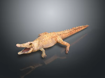 Realistic Crocodile With Open Mouth Detailed Skin Texture On Dark Background 3d model
