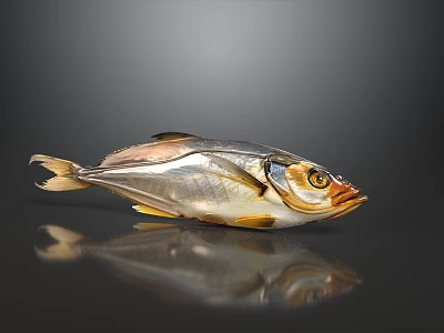 Fresh Whole Fish with Shiny Silver Scales and Golden Accents on Dark Surface 3d model