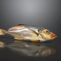 Fresh Whole Fish with Shiny Silver Scales and Golden Accents on Dark Surface