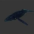 Blue Whale With White Spots On Lifelike 3D Rendered Gradient Background 3d model